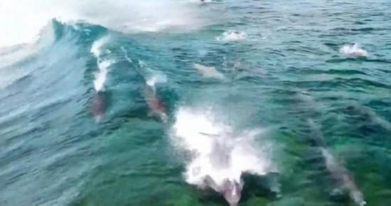 海贼船
